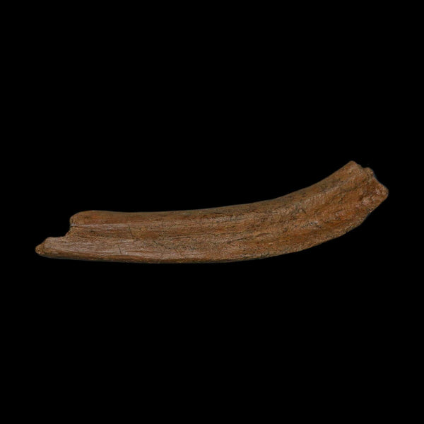 8.6