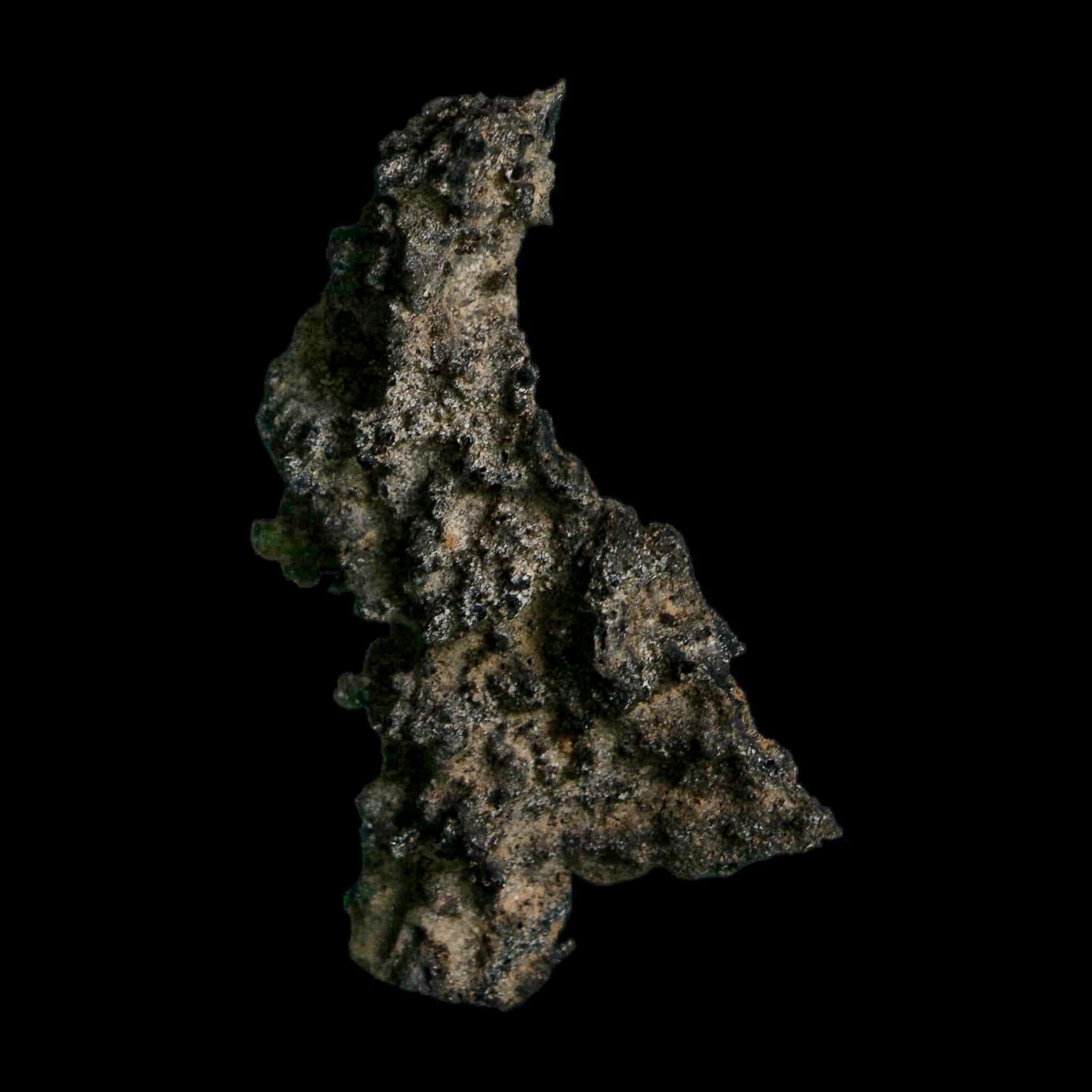 2.6" Fulgurite Petrified Lightning Strike Glass Sahara Desert Algeria - Fossil Age Minerals