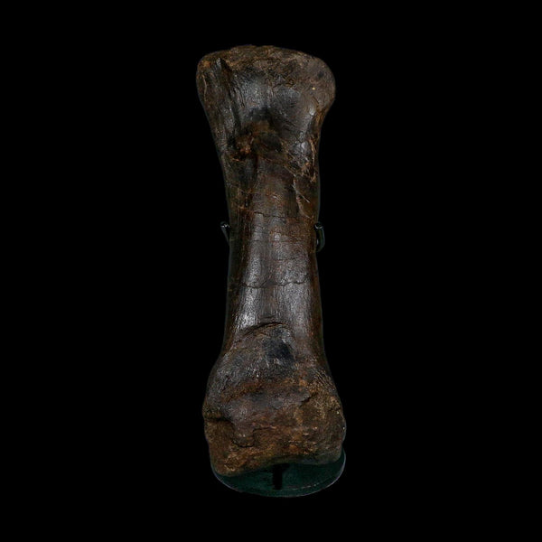 11.5