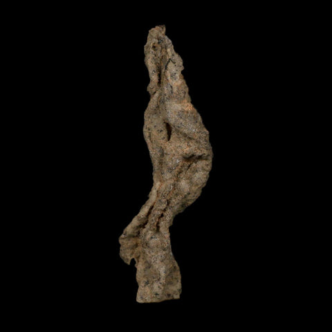 4.3" Fulgurite Petrified Lightning Strike Glass Sahara Desert Algeria - Fossil Age Minerals