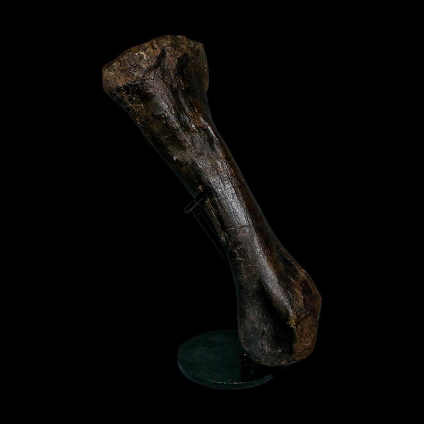 11.5