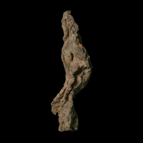 4.3" Fulgurite Petrified Lightning Strike Glass Sahara Desert Algeria - Fossil Age Minerals