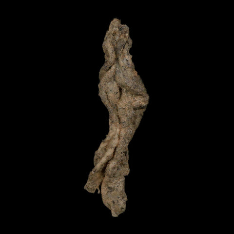 4.3" Fulgurite Petrified Lightning Strike Glass Sahara Desert Algeria - Fossil Age Minerals