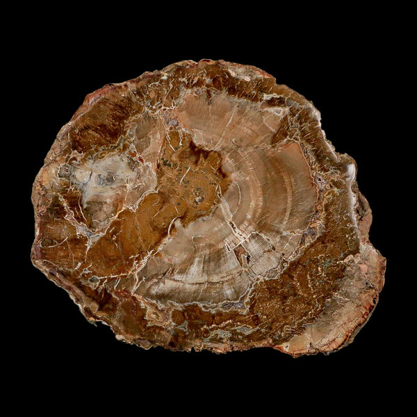 4.3