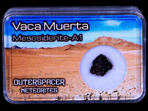 Vaca Muerta Meteorite Mesosiderite-A1 Chile, South America Meteorites Display - Fossil Age Minerals