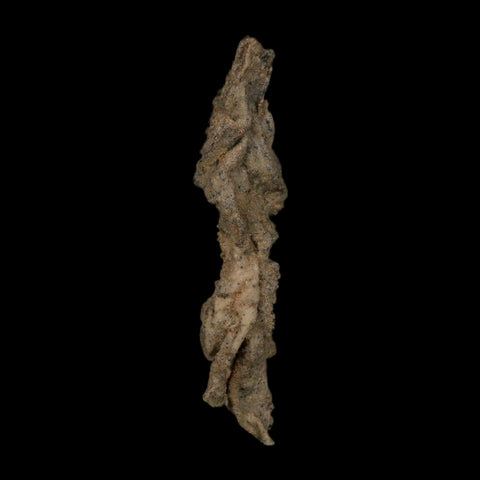 4.3" Fulgurite Petrified Lightning Strike Glass Sahara Desert Algeria - Fossil Age Minerals
