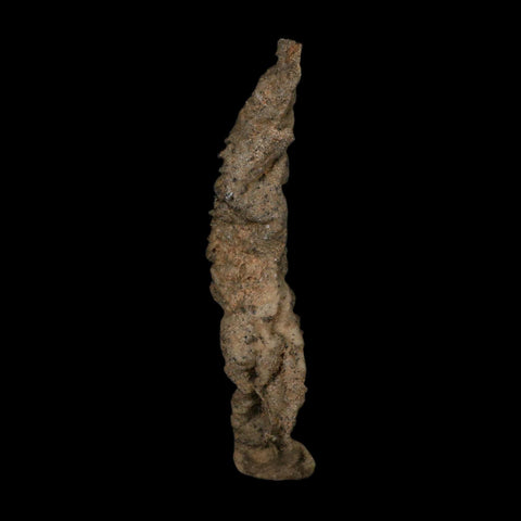 4.3" Fulgurite Petrified Lightning Strike Glass Sahara Desert Algeria - Fossil Age Minerals