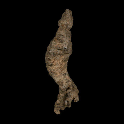 4.3" Fulgurite Petrified Lightning Strike Glass Sahara Desert Algeria - Fossil Age Minerals