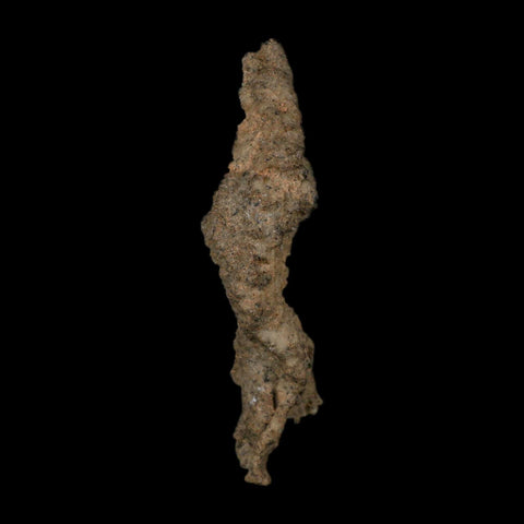 4.3" Fulgurite Petrified Lightning Strike Glass Sahara Desert Algeria - Fossil Age Minerals