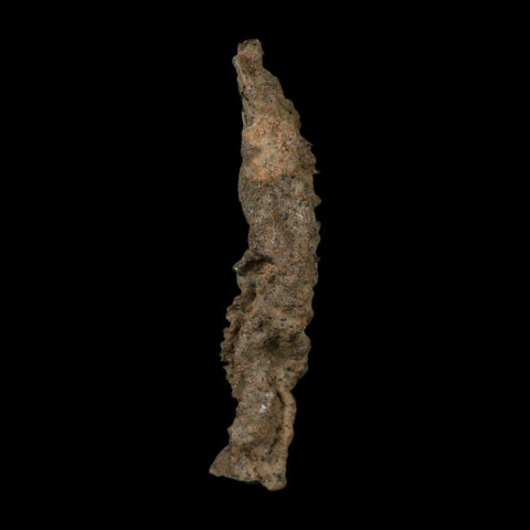 4.3" Fulgurite Petrified Lightning Strike Glass Sahara Desert Algeria - Fossil Age Minerals