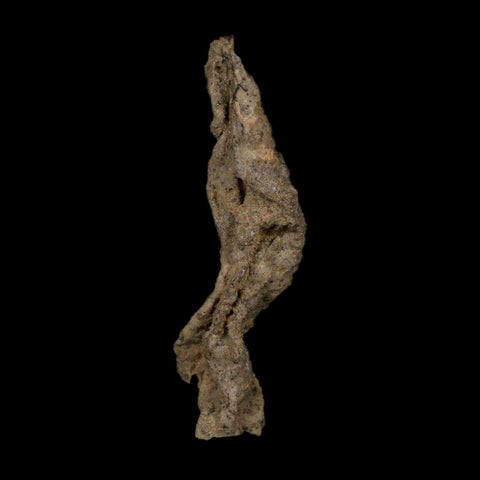 4.3" Fulgurite Petrified Lightning Strike Glass Sahara Desert Algeria - Fossil Age Minerals