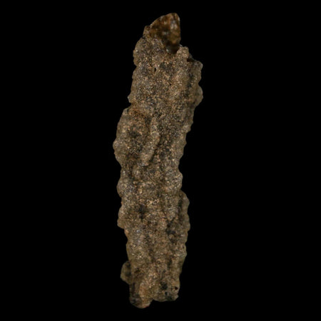2.3" Fulgurite Petrified Lightning Strike Glass Sahara Desert Algeria