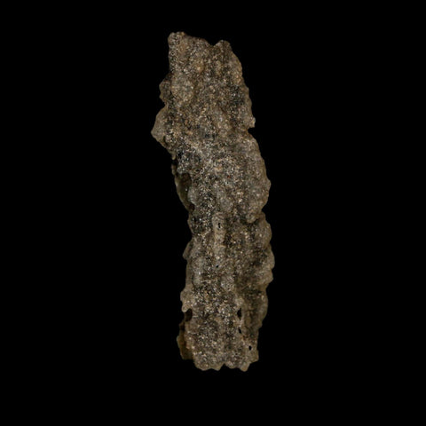 2.3" Fulgurite Petrified Lightning Strike Glass Sahara Desert Algeria - Fossil Age Minerals