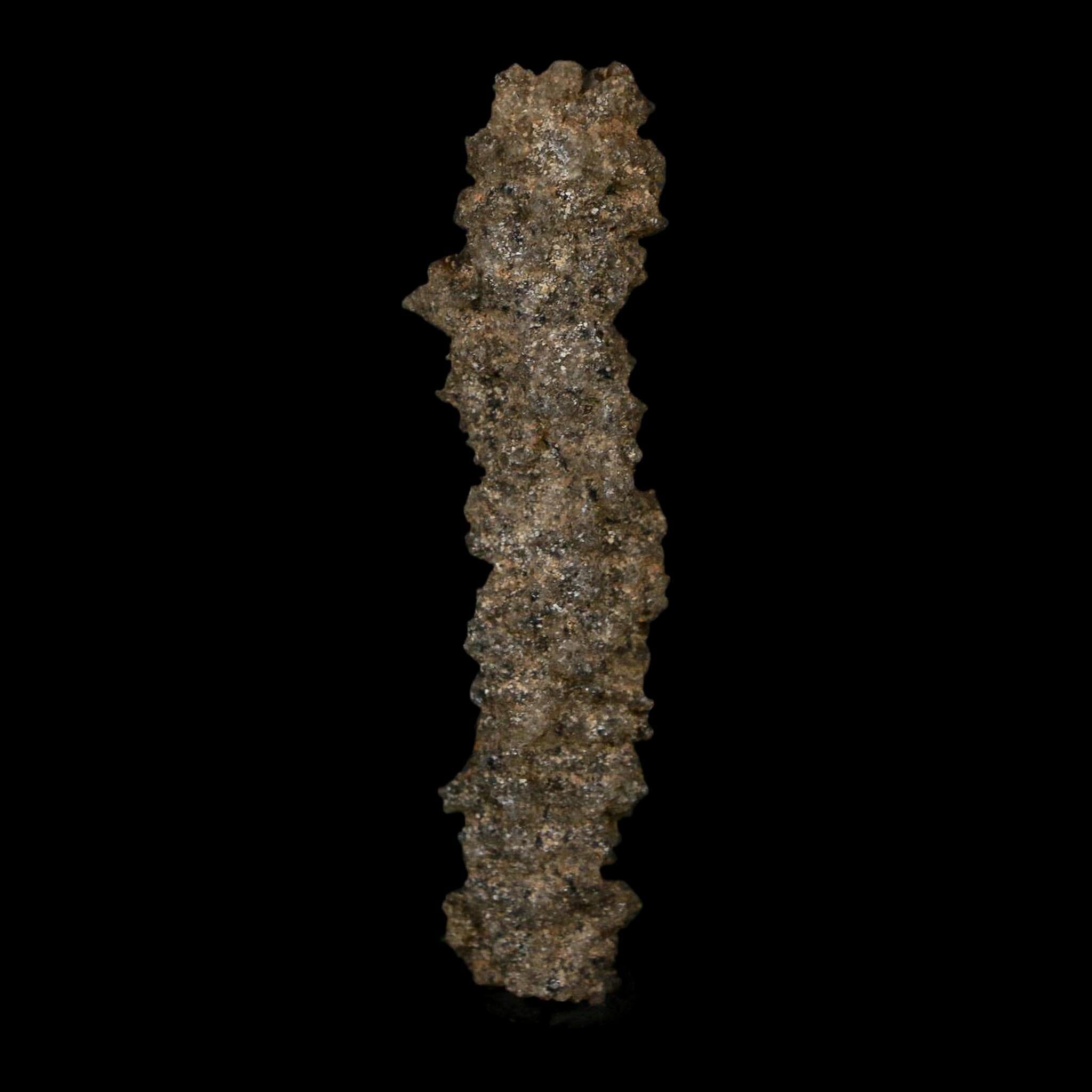 2.8" Fulgurite Petrified Lightning Strike Glass Sahara Desert Algeria - Fossil Age Minerals