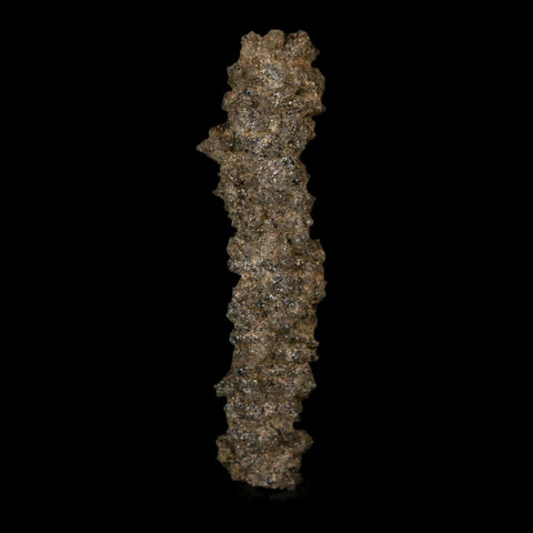 2.8" Fulgurite Petrified Lightning Strike Glass Sahara Desert Algeria - Fossil Age Minerals
