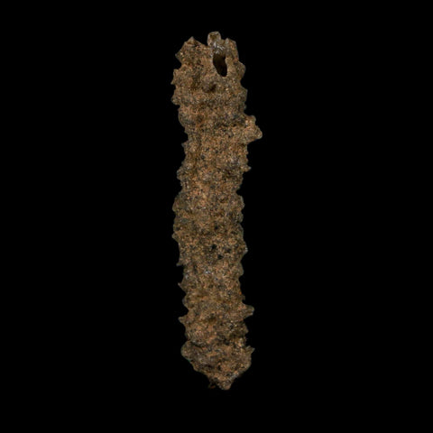 2.8" Fulgurite Petrified Lightning Strike Glass Sahara Desert Algeria - Fossil Age Minerals