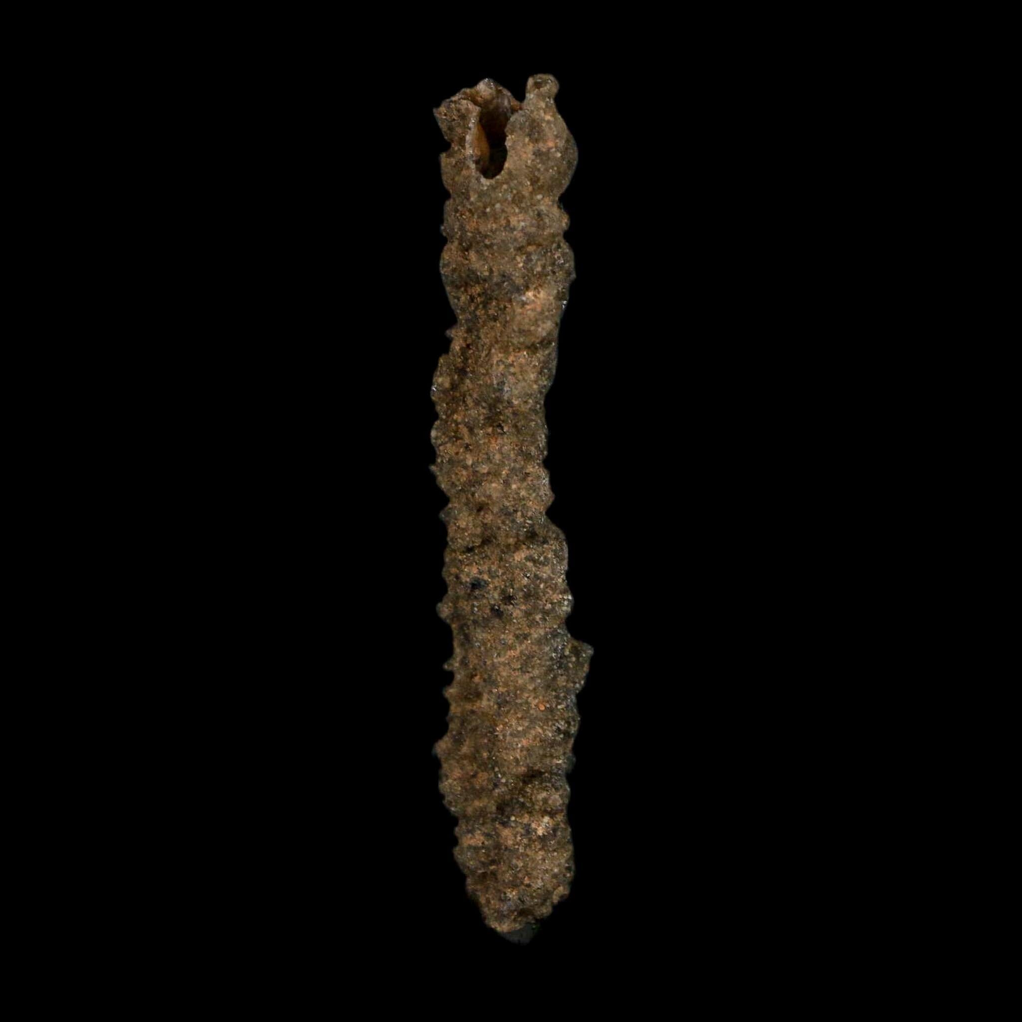 2.8" Fulgurite Petrified Lightning Strike Glass Sahara Desert Algeria - Fossil Age Minerals