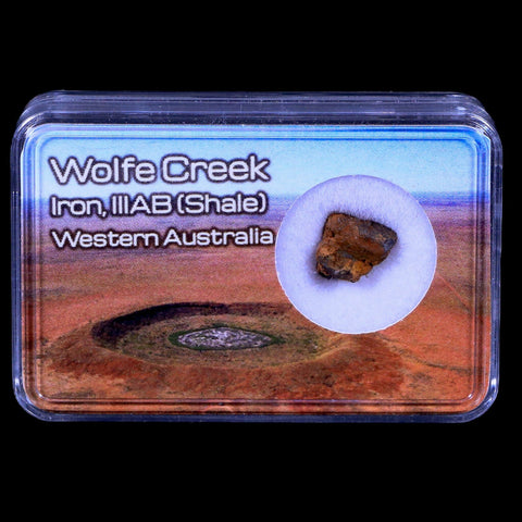 Wolf Creek Meteorite Western Australia Iron, IIIAB (Shale) Found In 1947 Display - Fossil Age Minerals