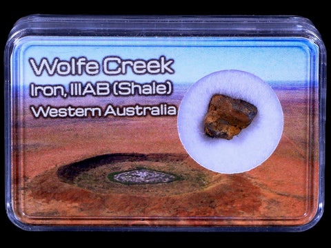 Wolf Creek Meteorite Western Australia Iron, IIIAB (Shale) Found In 1947 Display - Fossil Age Minerals