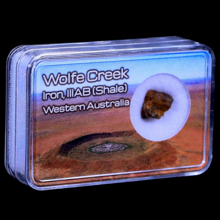 Wolf Creek Meteorite Western Australia Iron, IIIAB (Shale) Found In 1947 Display