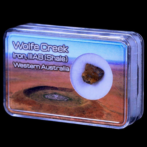 Wolf Creek Meteorite Western Australia Iron, IIIAB (Shale) Found In 1947 Display - Fossil Age Minerals