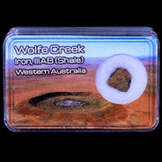 Wolf Creek Meteorite Western Australia Iron, IIIAB (Shale) Found In 1947 Display