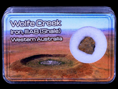 Wolf Creek Meteorite Western Australia Iron, IIIAB (Shale) Found In 1947 Display - Fossil Age Minerals