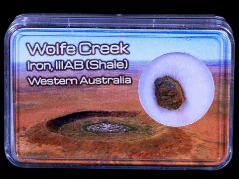 Wolf Creek Meteorite Western Australia Iron, IIIAB (Shale) Found In 1947 Display - Fossil Age Minerals