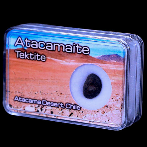 Atacamaite Tektite Impact Wabar Glass Atacama Desert Chile Meteorite Display - Fossil Age Minerals