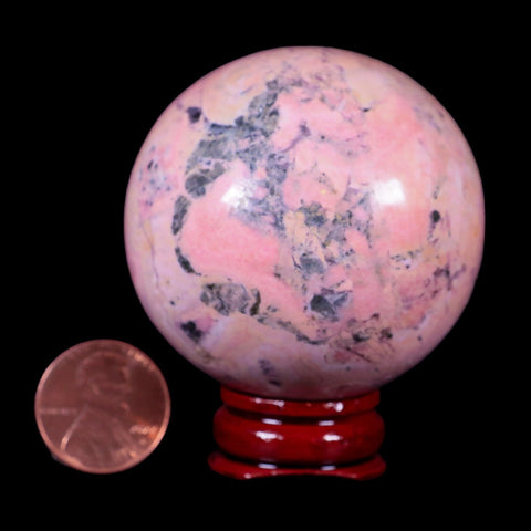 XL 50MM Natural Rhodonite Mineral Crystal Sphere Ball Peru Rosewood Stand - Fossil Age Minerals