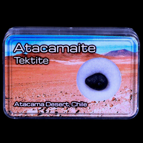 Atacamaite Tektite Impact Wabar Glass Atacama Desert Chile Meteorite Display - Fossil Age Minerals