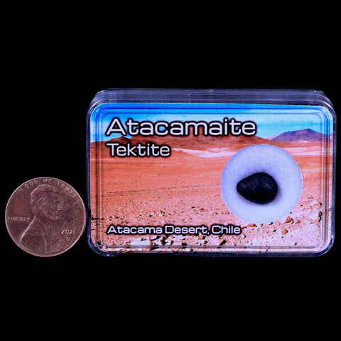 Atacamaite Tektite Impact Wabar Glass Atacama Desert Chile Meteorite Display - Fossil Age Minerals