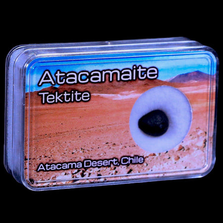 Atacamaite Tektite Impact Wabar Glass Atacama Desert Chile Meteorite Display