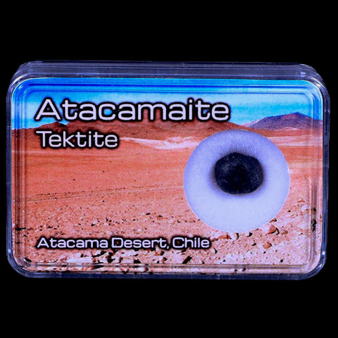 Atacamaite Tektite Impact Wabar Glass Atacama Desert Chile Meteorite Display - Fossil Age Minerals