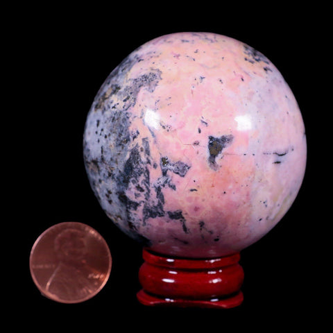 XL 52MM Natural Rhodonite Mineral Crystal Sphere Ball Peru Rosewood Stand - Fossil Age Minerals