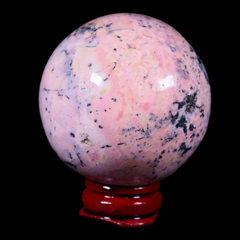 XL 52MM Natural Rhodonite Mineral Crystal Sphere Ball Peru Rosewood Stand - Fossil Age Minerals