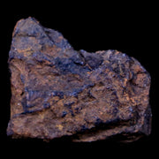 Bendege Meteorite Specimen Riker Display Bendege Bahia Brazil 4.5 Grams