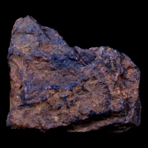 Bendege Meteorite Specimen Riker Display Bendege Bahia Brazil 4.5 Grams - Fossil Age Minerals