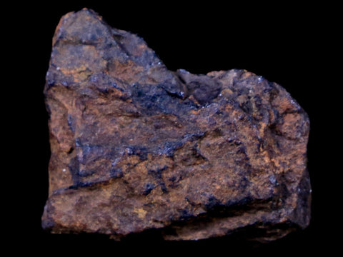 Bendege Meteorite Specimen Riker Display Bendege Bahia Brazil 4.5 Grams - Fossil Age Minerals