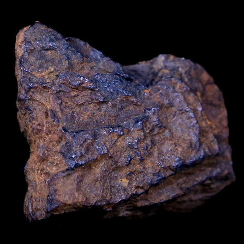Bendege Meteorite Specimen Riker Display Bendege Bahia Brazil 4.5 Grams - Fossil Age Minerals