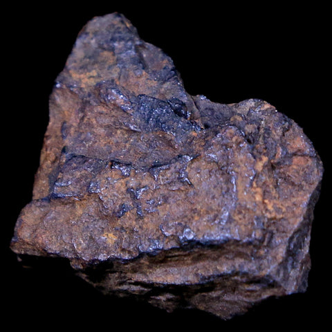 Bendege Meteorite Specimen Riker Display Bendege Bahia Brazil 4.5 Grams - Fossil Age Minerals