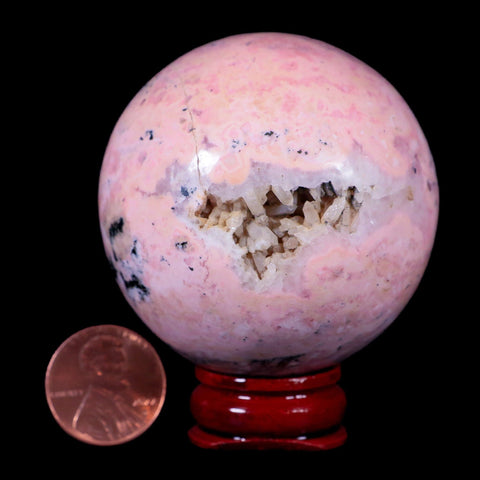 XL 53MM Natural Rhodonite Vug Mineral Crystal Sphere Ball Peru Rosewood Stand - Fossil Age Minerals