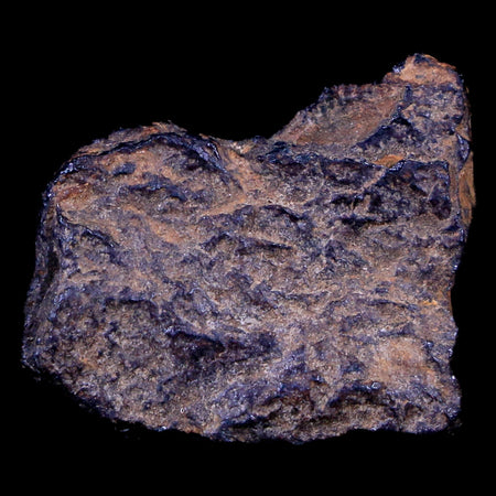 Bendege Meteorite Specimen Riker Display Bendege Bahia Brazil 4.5 Grams