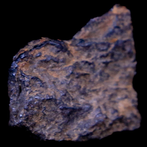 Bendege Meteorite Specimen Riker Display Bendege Bahia Brazil 4.5 Grams - Fossil Age Minerals