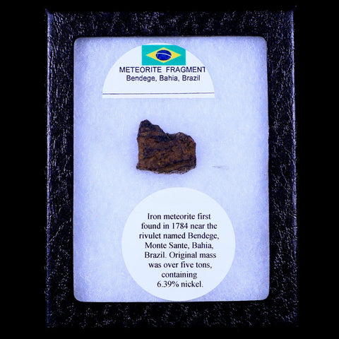 Bendege Meteorite Specimen Riker Display Bendege Bahia Brazil 4.5 Grams - Fossil Age Minerals