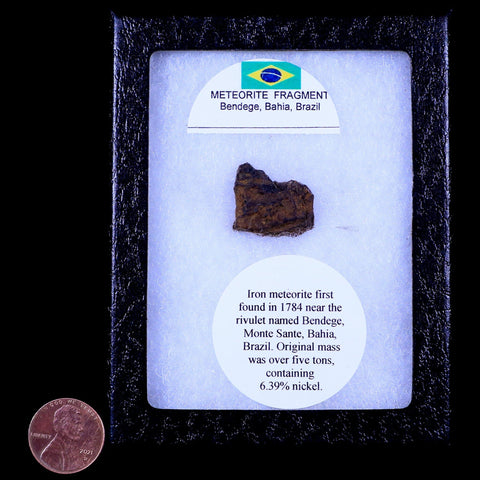 Bendege Meteorite Specimen Riker Display Bendege Bahia Brazil 4.5 Grams - Fossil Age Minerals