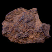 Bendege Meteorite Specimen Riker Display Bendege Bahia Brazil 3.1 Grams