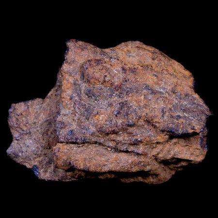 Bendege Meteorite Specimen Riker Display Bendege Bahia Brazil 3.1 Grams