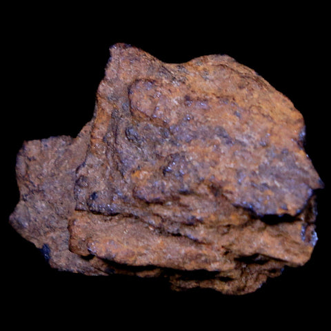 Bendege Meteorite Specimen Riker Display Bendege Bahia Brazil 3.1 Grams - Fossil Age Minerals