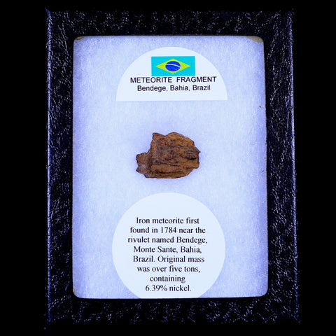 Bendege Meteorite Specimen Riker Display Bendege Bahia Brazil 3.1 Grams - Fossil Age Minerals